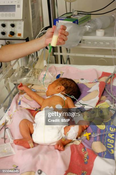 Premature Baby In The Maternity Of Holy Family Hospital In Bethlehem.