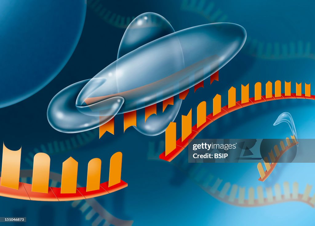 Rna Interference