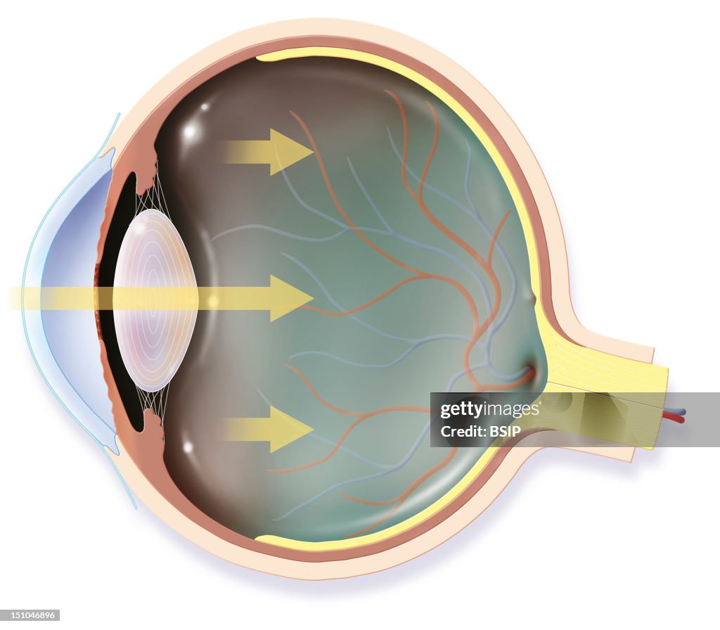 Eye, Drawing