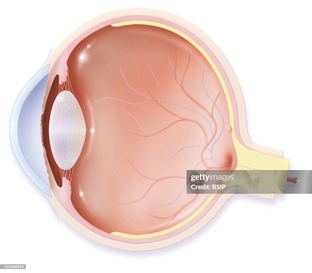 Eye, Drawing