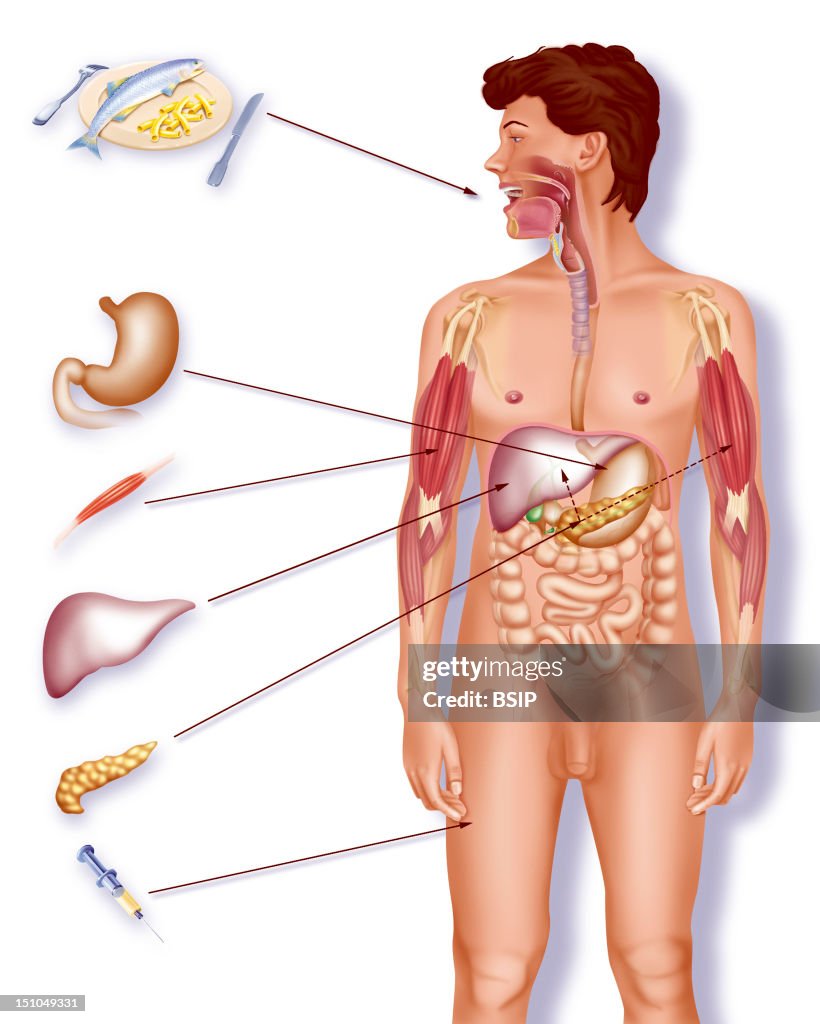 Treatment For Diabetes