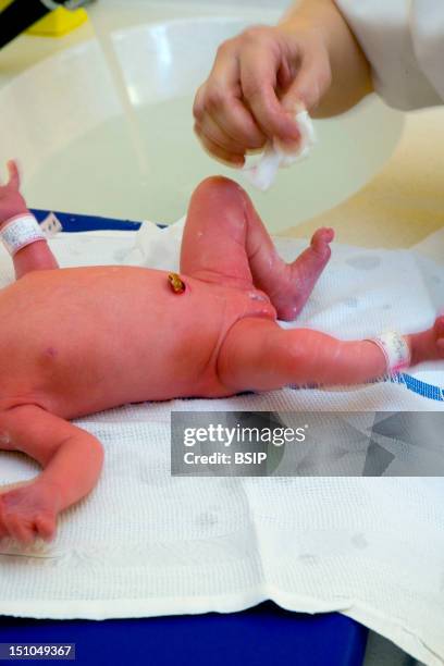 Photo Essay From Hospital. Mother Child Center. Hospital Of Meaux 77, France. Child Care Aid Washing The 2 Day Old Newborn Baby Girl.