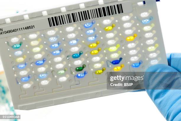 Bacter Cards 94 Blood Sample Card Stock Photos, High-Res Pictures, and Images ...