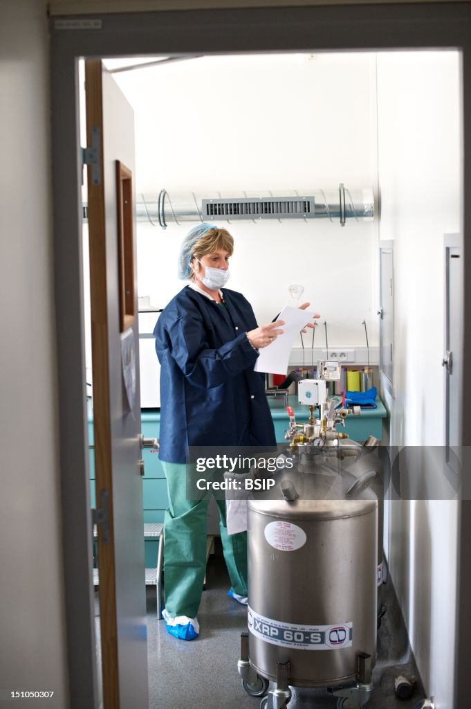 Cryopreservation