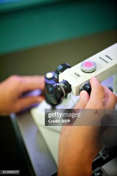 Microscope Hand Scratch Hand Microscope Photos and Premium High Res Pictures - Getty Images