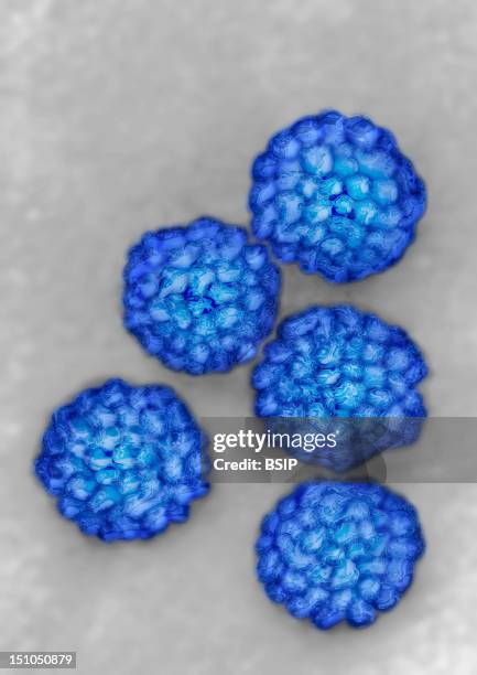 Papillomavirus Dna Virus. Hdri Image Made According To A View Under Transmission Electron Microscope, Viral Diameter 45 To 55 Nm. Papilloma Viruses...