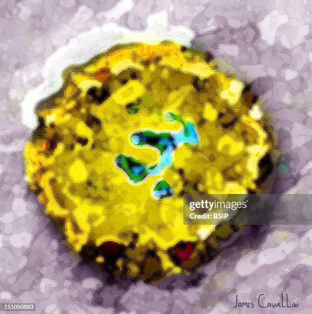 Papillomavirus Dna Virus. Canvas Painting Made According To A View Under Transmission Electron Microscope, Viral Diameter 45 To 55 Nm. Papilloma...