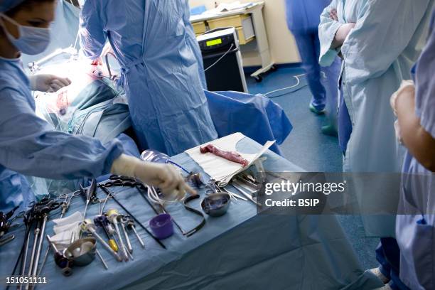 Photo Essay At The Hospital Of Meaux 77, France. Visceral And Digestive Surgery. Surgery Of Obesity Sleeve Gastrectomy Under Laparoscopy. Biopsy Of...