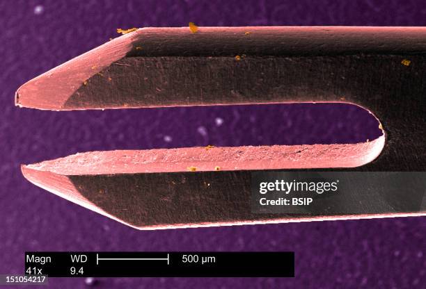 Bifurcated Smallpox Vaccination Needle. This Scanning Electron Micrograph Sem Reveals The Roughened Surface At The Tip Of A "Bifurcated" Smallpox...