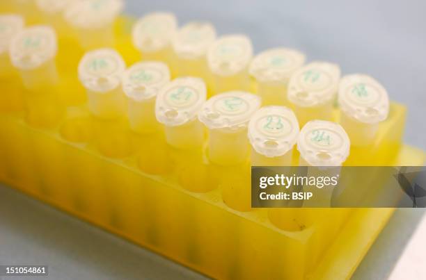 Microtubes Lab 155 Microtube Stock Photos, High-Res Pictures, and Images - Getty Images