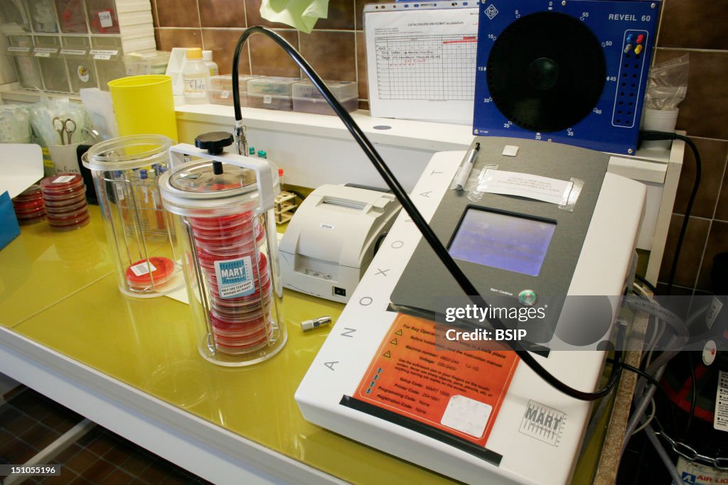 Bacteriology