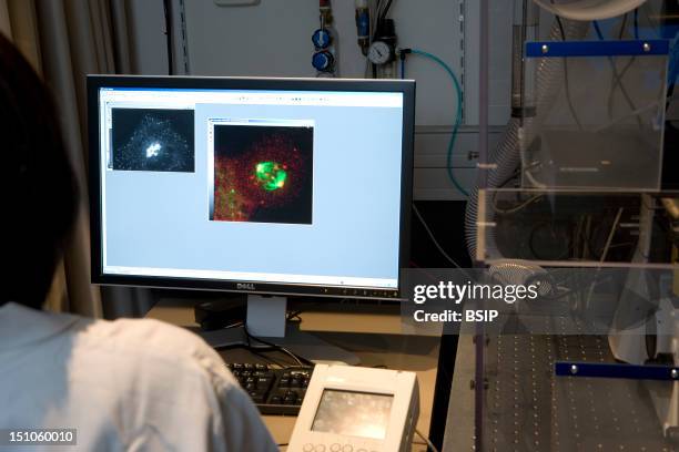 Photo Essay In Curie Institute, At Nikon Imaging Centre, Paris, France. In Vivo Photonic Imagery Platform For Biomedical Research To Observe Alive...