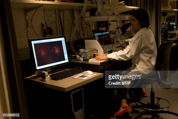 Photo Essay In Curie Institute, At Nikon Imaging Centre, Paris, France. In Vivo Photonic Imagery Platform For Biomedical Research To Observe Alive...