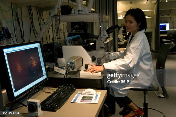 Photo Essay In Curie Institute, At Nikon Imaging Centre, Paris, France. In Vivo Photonic Imagery Platform For Biomedical Research To Observe Alive...