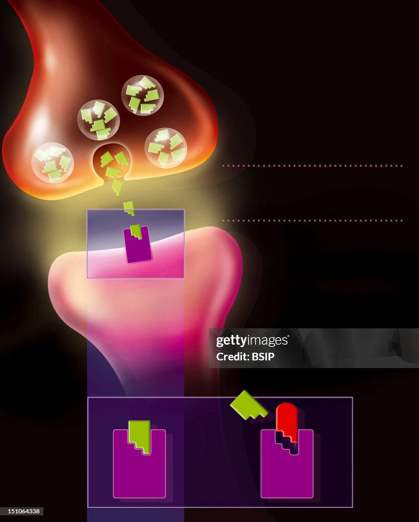 Dopamine Synapse