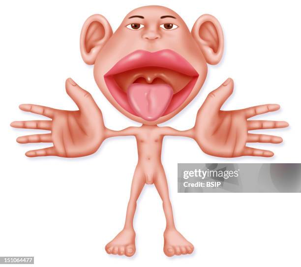 Sensorial Homonculus Or Homonculus. The Sensorial Homonculu Is A Representation Of The Human Body, Distorted So As To Reflect The Relative Importance...