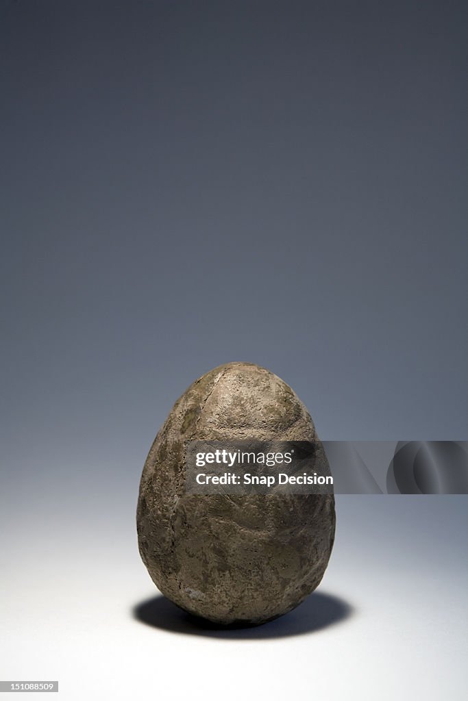 Dinosaur egg replica