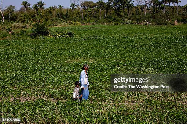 Mrs. Martha Zotar walks with her son Jhonatan on a soy field on their property, a farm called Monte Verde. San Pablo de Guarayos, Bolivia, 2012.