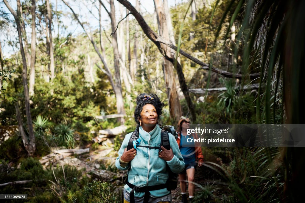 Woman exploring the rugged beauty of Tasmania's wilderness on a thrilling bushwalking adventure.