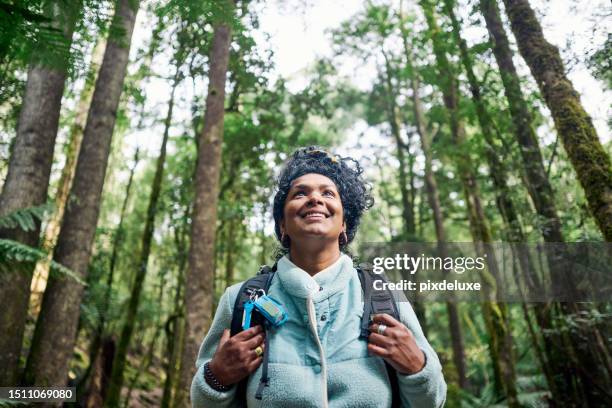 woman exploring the rugged beauty of tasmania's wilderness bushwalking through a temperate rainforest. - hiking australia stock pictures, royalty-free photos & images