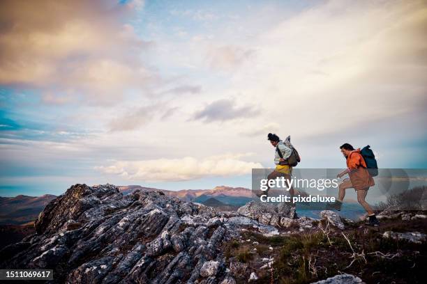 women hikers embracing the untamed beauty of tasmania through exhilarating bushwalking. - trem stock pictures, royalty-free photos & images