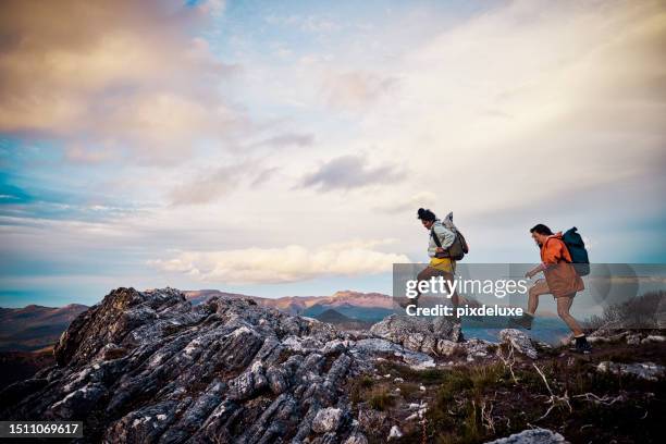 women hikers embracing the untamed beauty of tasmania through exhilarating bushwalking. - aventura imagens e fotografias de stock