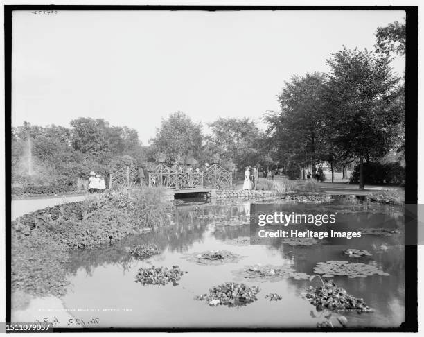 Lily pond, Belle Isle Park, Detroit, Mich., c.between 1900 and 1910. Creator: Unknown.