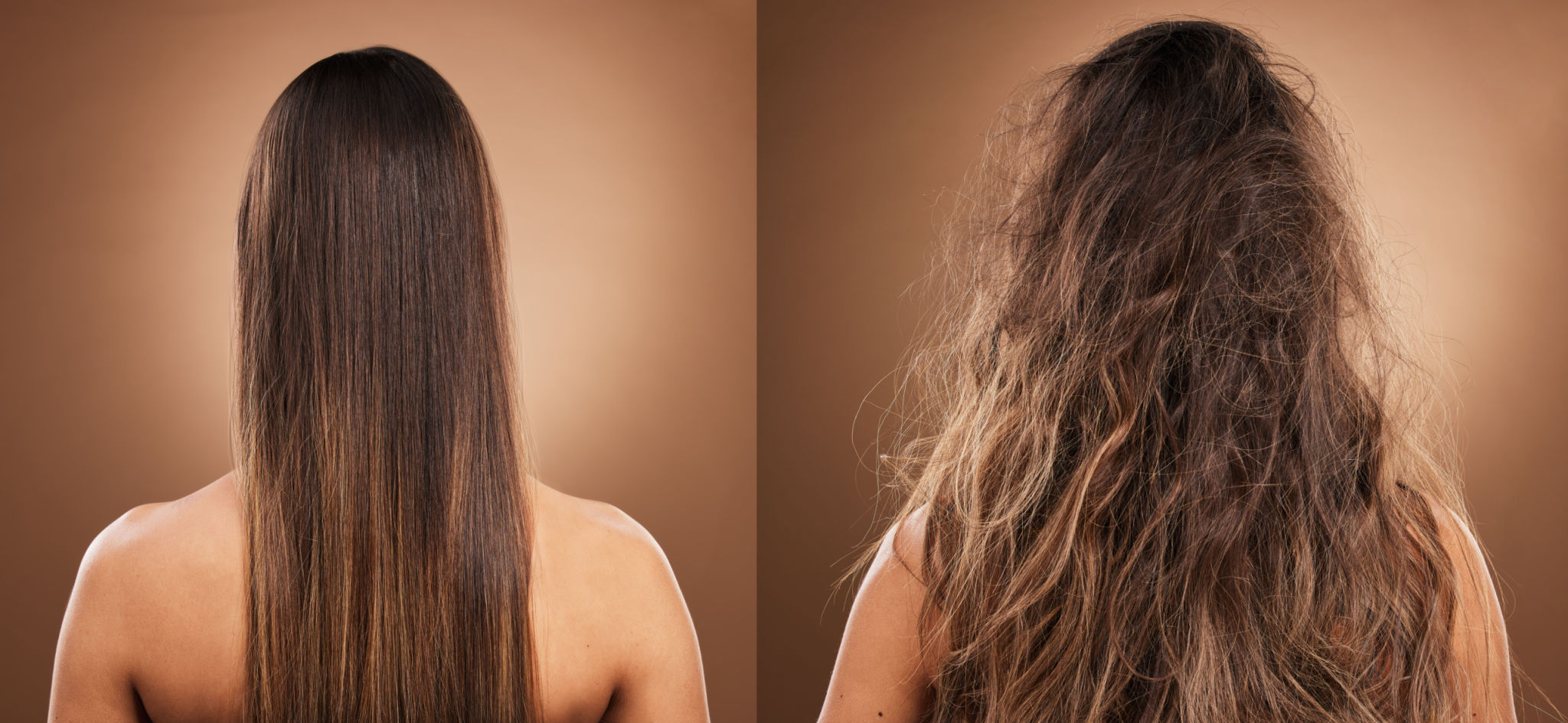 Hair care, beauty and back of woman in studio with shiny, clean and messy dirty hairstyle. Health, self care and model with knots before keratin, brazilian or botox hair treatment by brown background Hair care, beauty and back of woman in studio with shiny, clean and messy dirty hairstyle. Health, self care and model with knots before keratin, brazilian or botox hair treatment by brown background
