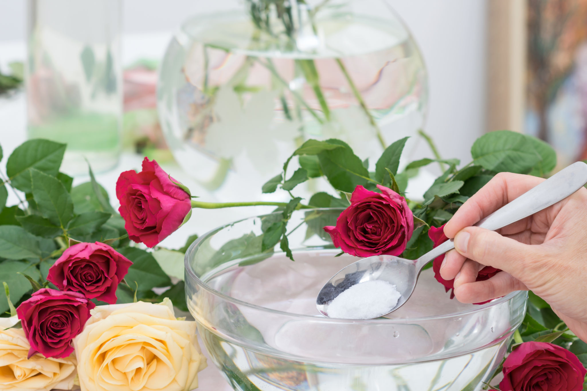 sugar flowers