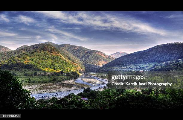 jim corbett national park - jim corbett national park stock pictures, royalty-free photos & images