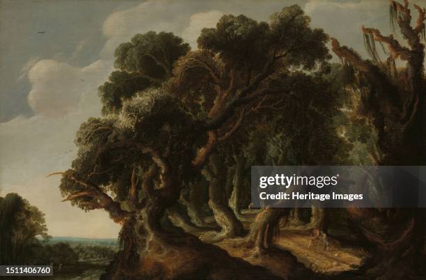 Wooded Landscape, circa 1633. Creator: Jacob Jacobsz. Van Geel.