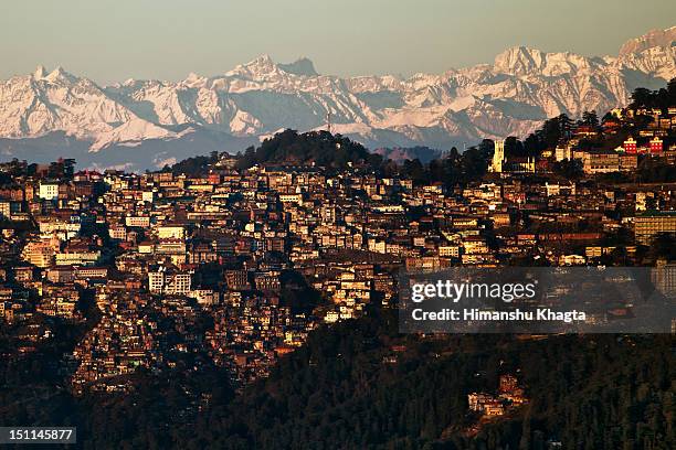 shimla sunset cityscape, himachal pradesh - shimla stock pictures, royalty-free photos & images