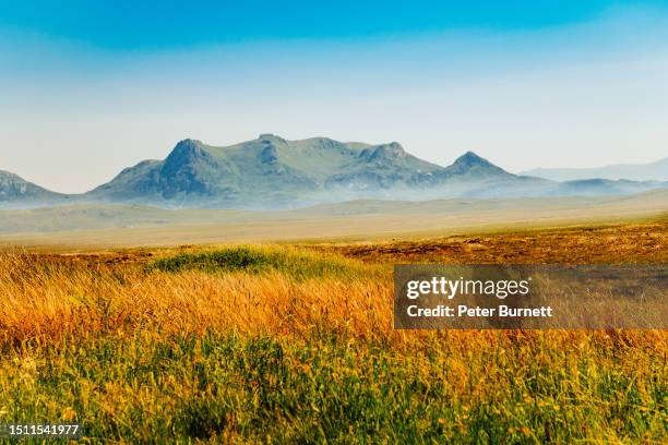 ben loyal, sutherland, scotland - schotse cultuur stockfoto's en -beelden