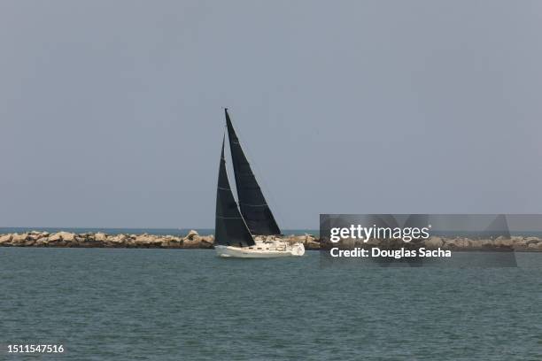 sailboat along the artificial reef - eselsdistel stock-fotos und bilder