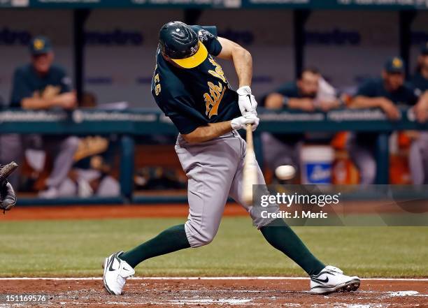 Infielder Adam Rosales of the Oakland Athletics bats against the Tampa Bay Rays during the game at Tropicana Field on August 24, 2012 in St....