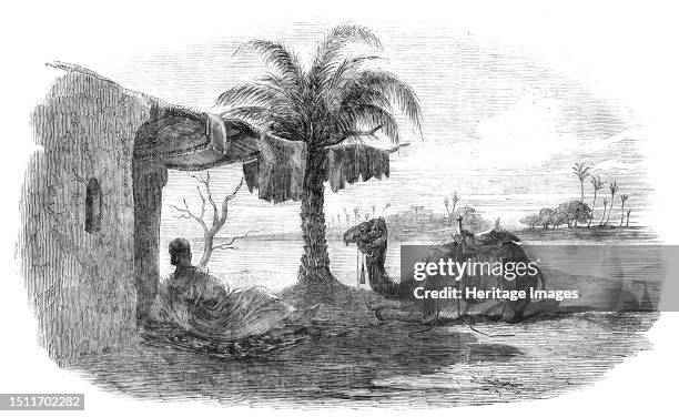 Noonday Shelter, 1857. Middle Eastern scene. 'Here we come upon a wild son of the desert, who, together with his camel, is luxuriating in the shade...
