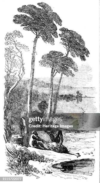 Sketches in Southern Australia - the Dead Emu, 1857. 'The taking of the Emu is a favourite sport of the aborigines: the emu is caught in very large...