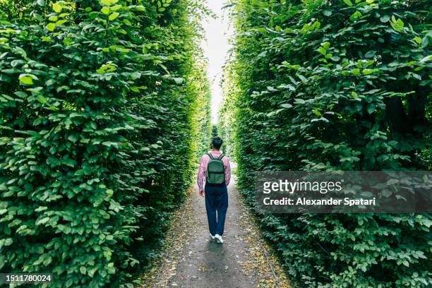 rear view of a man walking in a green hedge maze - discovery bags walking stock pictures, royalty-free photos & images