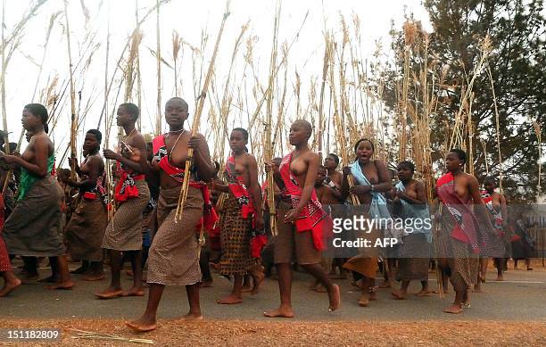 Swazi girls carry reeds on September 2, 2012 as they arrive to dance for King Mswati III at the Ludzidzini royal palace in Mbabane. Over 60,000...