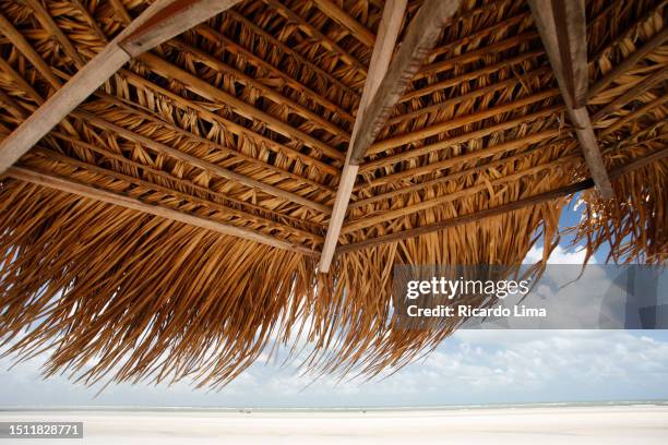 straw huts on salinas beach - brazil - strandhütte stock-fotos und bilder