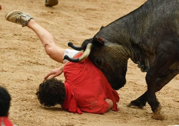 Participant is overthrown by a young cow after the "encierro" of the San Fermin festival in Pamplona, northern Spain, on July 7, 2023. Thousands of...