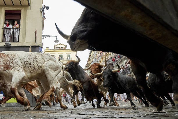 People take part in the traditional 'encierro' of the San Fermin Festival in Pamplona, Spain on July 07, 2023. The bull-running fiesta is held...