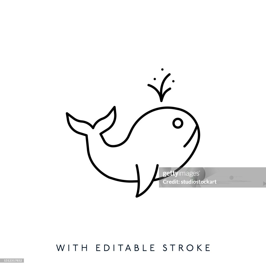 Whale line icon.Editable Stroke