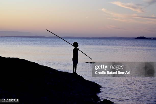 australian aboriginal boy using spears to hunt seafood in cape york queensland australia - cape york stock pictures, royalty-free photos & images