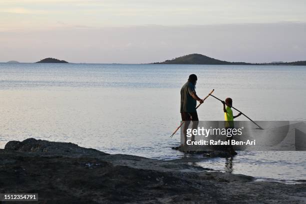 australian aboriginal people using spears to hunt seafood in cape york queensland australia - traditionally australian stock pictures, royalty-free photos & images