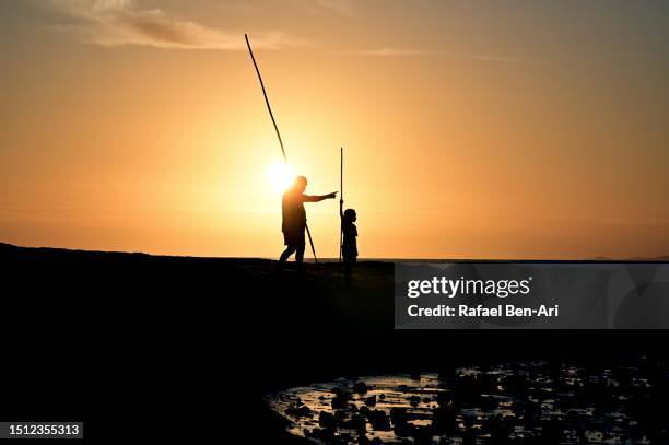 first nation australian aboriginal people using spears to hunt seafood in cape york queensland australia - bush australien photos et images de collection