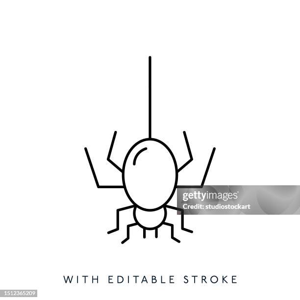 spider line icon editable stroke - tarantula stock illustrations