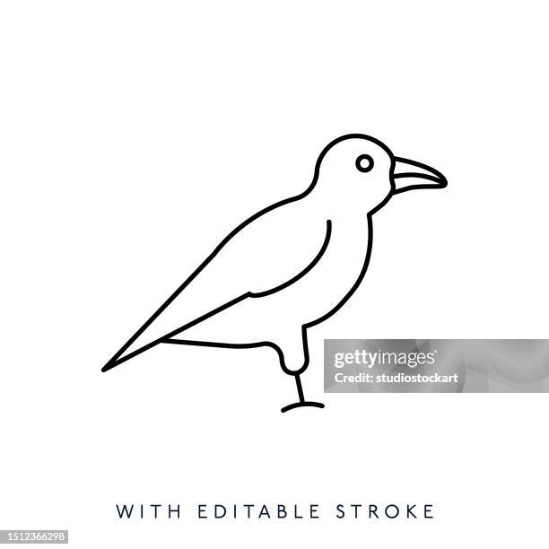 crow line icon editable stroke - crows stock illustrations