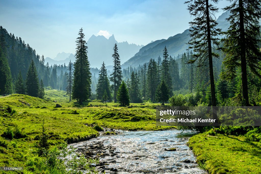Paisagem nas montanhas com floresta e rio