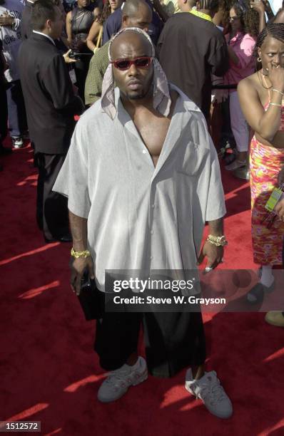 466 Treach (Rapper) Stock Photos, High-Res Pictures, and Images - Getty ...